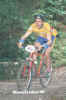 biava.jpg (65540 byte)