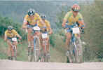 gruppo.jpg (74850 byte)