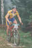 mot.jpg (44204 byte)